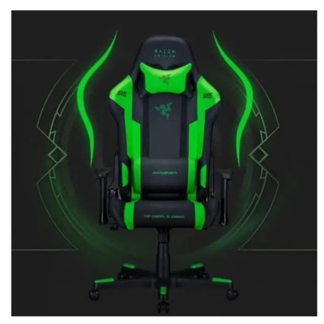 DXRacer Razer Special Edition Ergonomic Gaming Chair with 180° Recline DXRacer Razer Special Edition Ergonomic Gaming Chair with 180° Recline