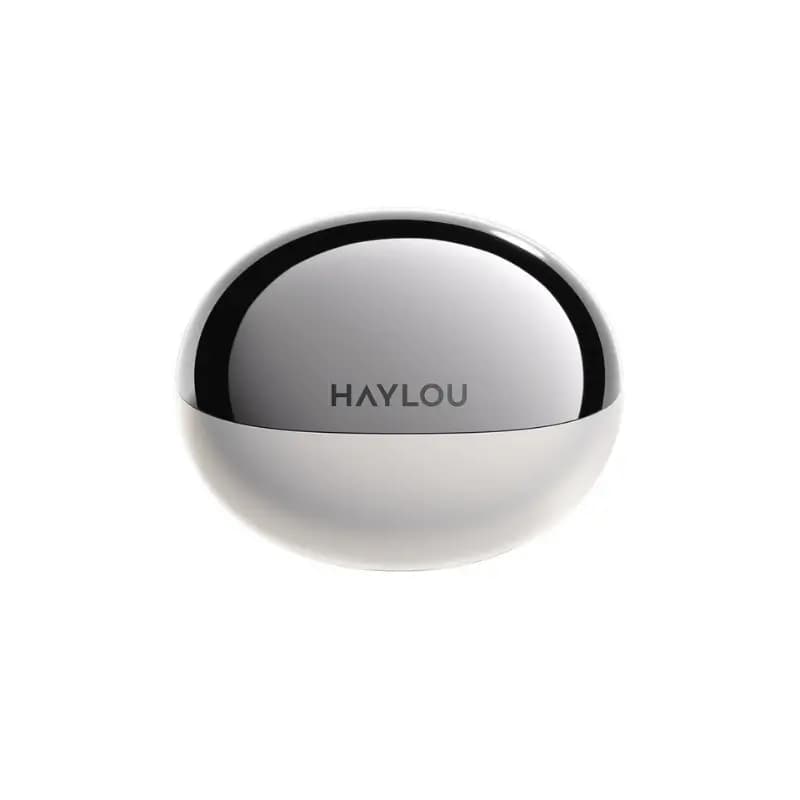 Haylou Flowbuds N55 ANC earbuds with charging case Haylou Flowbuds N55 ANC earbuds with charging case