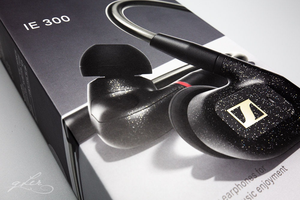 Sennheiser IE 300 in-Ear Audiophile Headphones