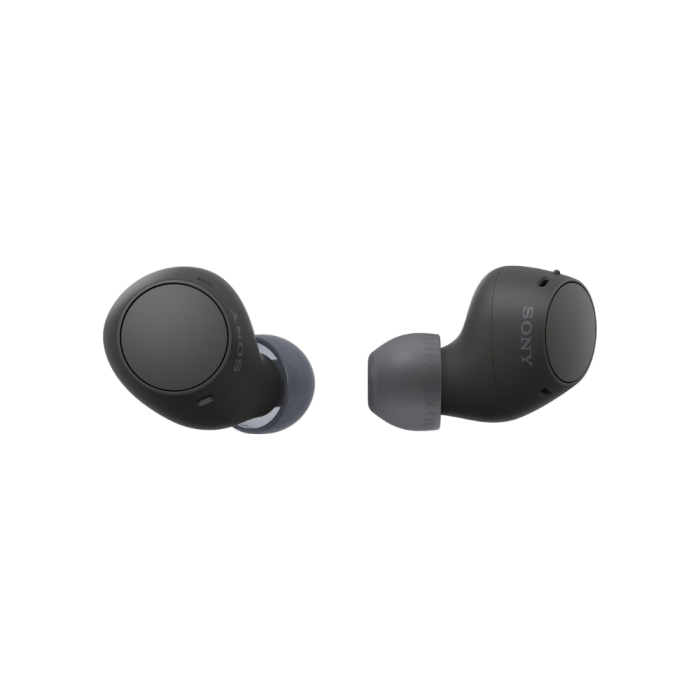 Sony WF-C510 Truly Wireless in-Ear Bluetooth Earbuds